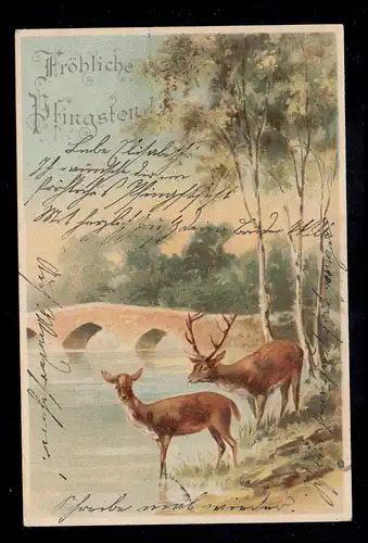 AK Pfingsten: Landschaft mit Brücke Hirsche, BASSUM 19.5.1904 nach TEMPELHOF