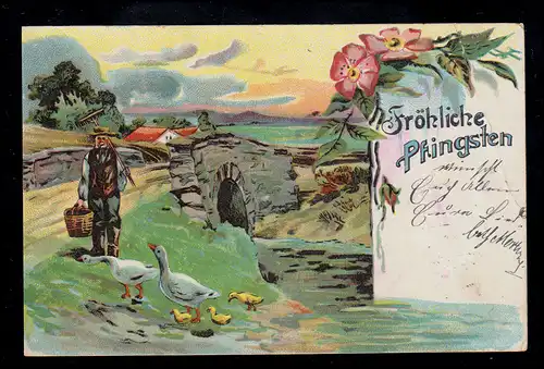 AK Pfingsten: Landschaft mit Brücke Bauer und Gänsen, COTTBUS 10.6.1905