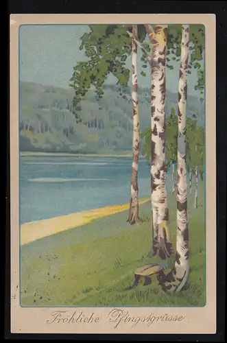 AK Pentecôte: Paysage fluvial avec bouleaux, ZWICKAU (Sachsen) 14.5.1910