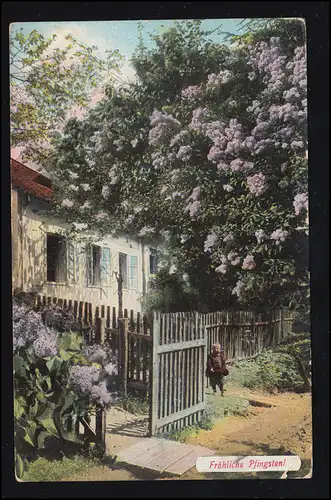 AK Pfingsten: Dorfidylle mit blühenden Gärten, BERLIN N 4 i 3.6.1911
