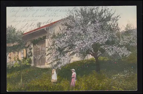 AK Pfingsten: Dorfidylle Mädchen unter blühendem Baum, ZÜRICH-PREDIGERPLATZ 1909