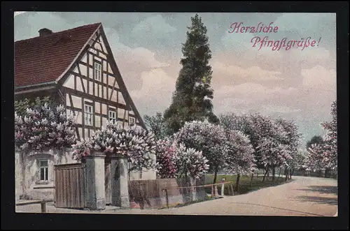 AK Pfingsten: Blühende Dorfstraße, CHEMNITZ 4 a 6.6.1911