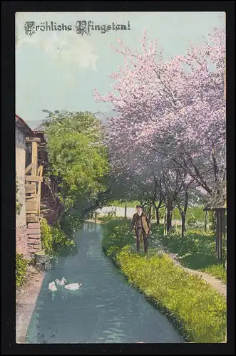 AK Pfingsten: Dorfidylle - Flusspartie mit Schwänen und Wanderer, KARLSRUHE 1910