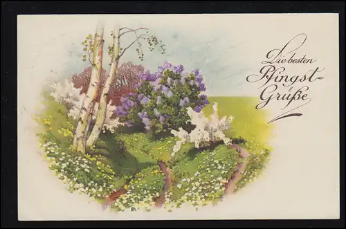 AK Pentecôte: route de terrain au printemps, SSt BAD SALSUNFLEN HERVEN RHEUMA