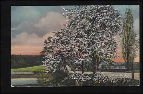 AK Pentecôte: Paysage avec arbres fleurissants, CÖLN-EHERENFELD 18.5.1918