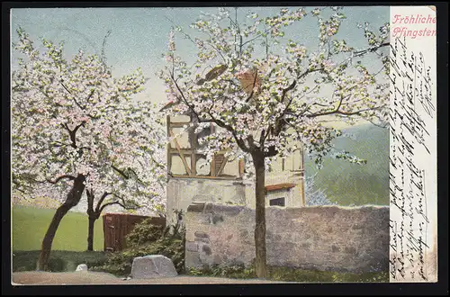 AK Pentecôte: Dorfidylle - arbres fleurissants, DRESDEN-NOUVELLE-VILLE 2.6.05 selon ZWICKAU