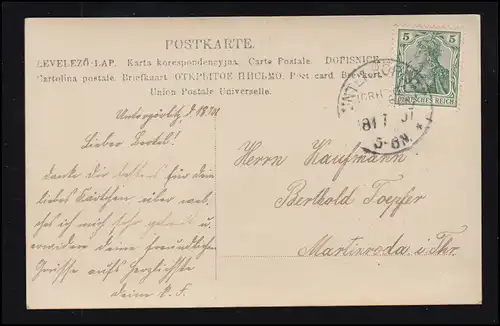 Mode-AK Lächelnde Frau mit Blumenkleid, UNTERPÖRLITZ 18.7.1907