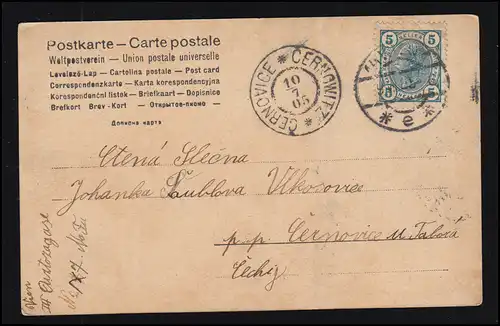 Mode AK femme avec cheveux foncés et noeuds de cheveux, VIENNE 9.7.1905 selon CERNOVICE 10.7.