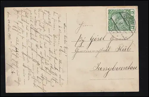 Femme à la mode avec des roses - Ressemblance filaire, AVERTISSEMENT 25.5.1911