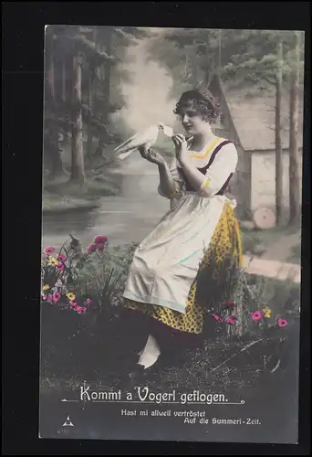 Suisse Amour-AK Salutation d'amour par pigeon-lettre, DONZHAUSEN (THURGAU) 24.11.1917
