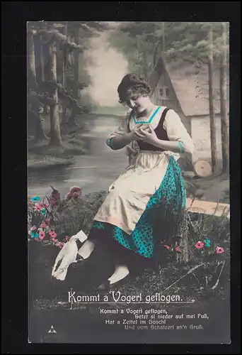Suisse Amour-AK Salutations d'amour par pigeon-lettre, coloré, couru vers 1915