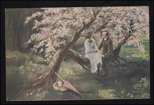 Amis-Ak couple assis sur une branche, DEDEVENIR (Kr. OSCHERSLEben) 29.9.19