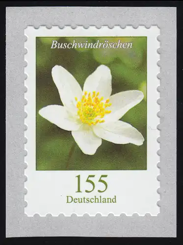 3484 Buis de la R.D. 155 centimes de sk de 100, s.o. **