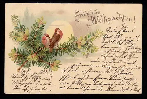 AK Noël: Paire d'oiseaux chantant sur une branche, WINDELHEIM 12.12.1898