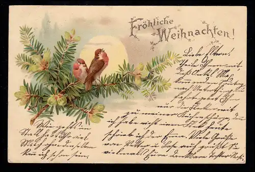 AK Weihnachten: Singendes Vogelpaar auf Zweig, WINDELHEIM 12.12.1898