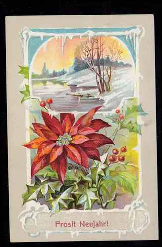 AK Nouvel An: motifs d'hiver et de printemps, DRESDEN-NOUVELLE-VILLE 31.12.1911