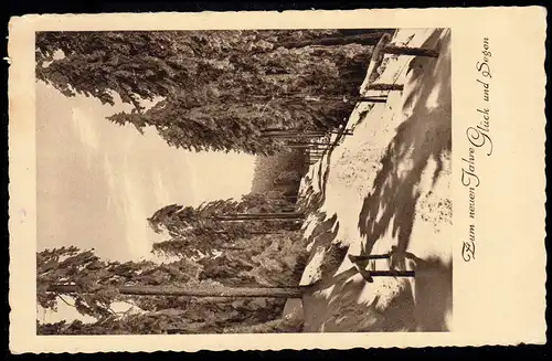 AK Nouvelle année: Chemin de forêt ensoleillé en hiver, MÜNNEN 30.12.1938