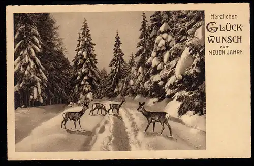 AK Neujahr: Winterlandschaft - Waldweg mit Rehen, NEUSALZA-SPREMBERG 30.12.1937