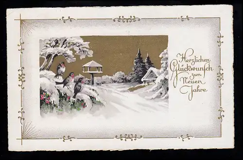 AK Nouvel An: Paysage hivernal avec des maisons d'oiseaux Rotkehlchen, MAINZ 30.12.1940