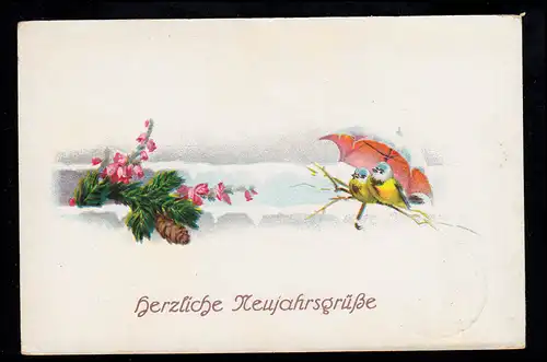 AK Neujahr: Vogelpaar unter Regenschirm Tannenzweig Blumen, DRESDEN 31.12.1925