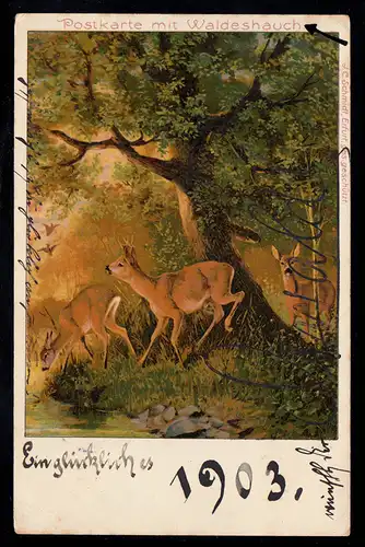 AK Neujahr: Rehe im Wald - Waldeshauch, SOLINGEN 2a 31.12.1902
