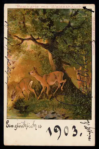 AK Nouvel An: Rehe in Forest - Waldeshauch, SOLINGEN 2a 31.12.1902