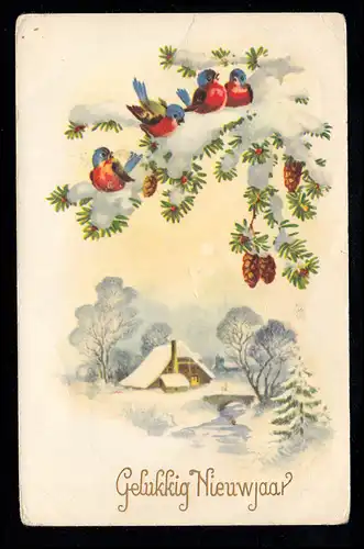 Belgien AK Neujahr: Vögel auf Tannenzweigen Haus am Fluß, LIER ZIMMERTOREN 1958 