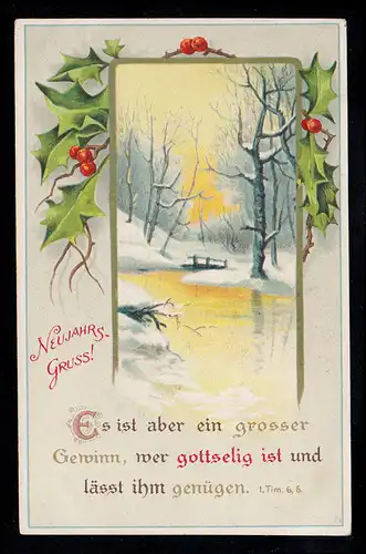 AK Neujahr: Winterlandschaft mit Psalm 6.6., MANNHEIM 29.12.1916