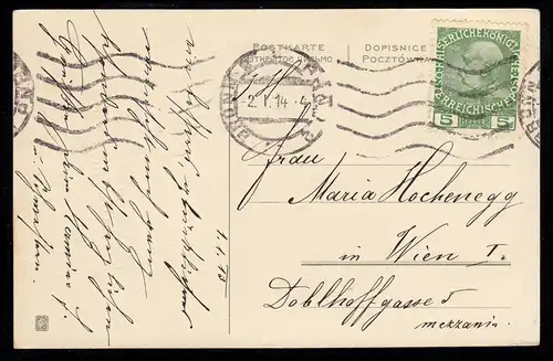 AK Nouvel An: Branches de sapins et baies dans le panier, BRNO / BRUNN 2.1.1914