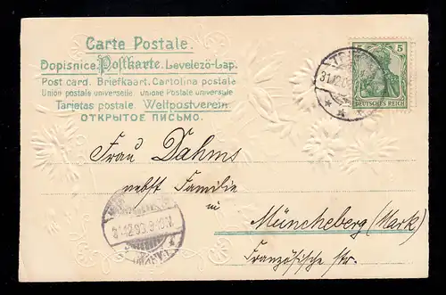 AK Neujahr: Vergoldete Jahreszahl 1904 Blumenranke, TRIEBEL 31.12.1903