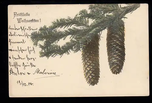 AK Noël: Branche de sapin avec cône de pin, 20.12.1904