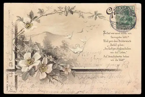 Poème poésie AK Branche de fleurs avec pigeons Cartes visuelles correspondant à poème, HEINSBERG 1902