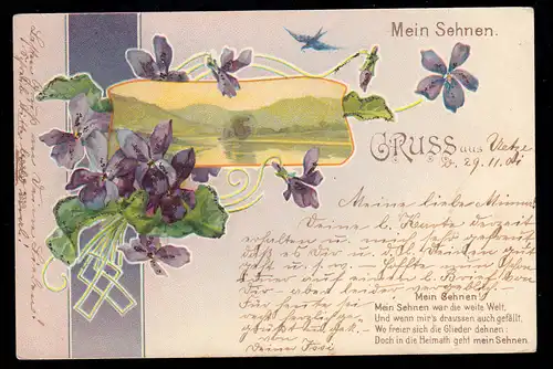 Paysage Lyrique-AK avec violette Salutation de ... Poème Mon tendon, Bahnpost 1901
