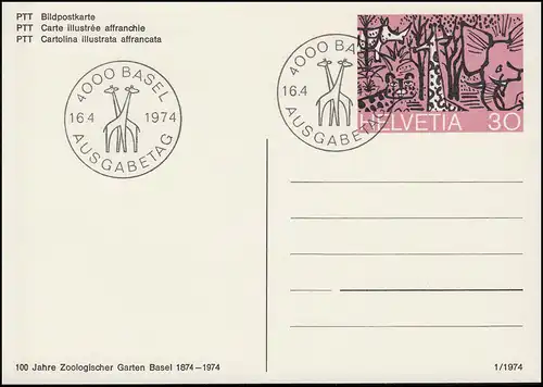 Suisse Carte postale P 235 Zoo Bâle, ESSt Basel Giraffen 16.4.1974