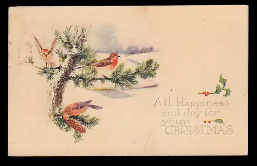 États-Unis AK Noël Paysage hivernal sapin avec oiseaux CLENCOE / ILLINOIS 20.11.20
