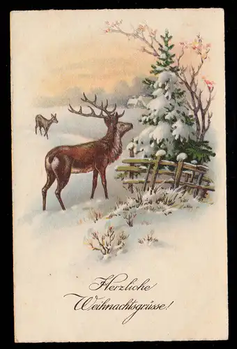 AK Noël: paysage hivernal avec cerfs, 24.12.1933