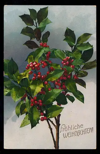 AK Weihnachten: Beerenzweig, STADTILM (Schwarzburg-Rudolstadt) 23.12.1916