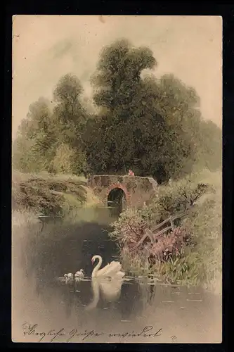 Künstler-AK Gemälde: Landschaftsbild mit Brücke Angler Schwäne ZWICKAU IN BÖHMEN