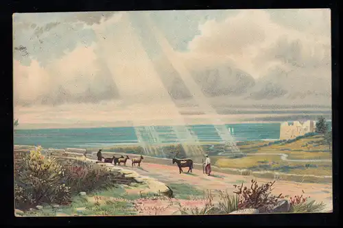 AK peinture d'artiste: paysage côtier avec chèvres sur la Méditerranée, BAMBERG 4.12.02