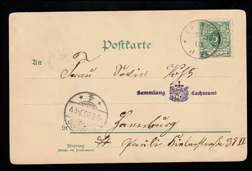 AK de dessin animé Le baiser invisible - L'envie du balcon, SAUBACH 5.5.1900