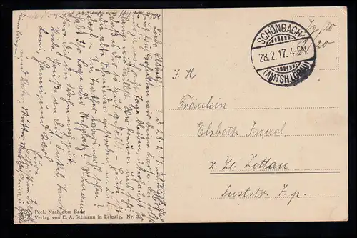 AK Peel Artiste: Après la baignade enfants devant la cheminée SCHÖNBACH / LÖBAU 28.2.1917