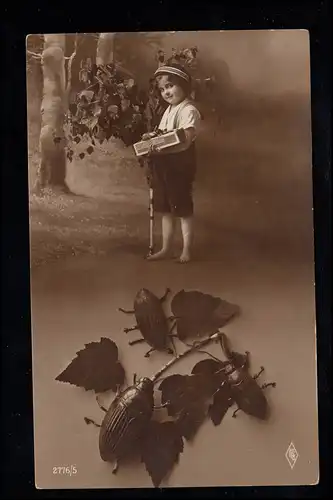 Enfants AK garçon ramasse la scarabée dans une boîte, AQ photo non utilisé
