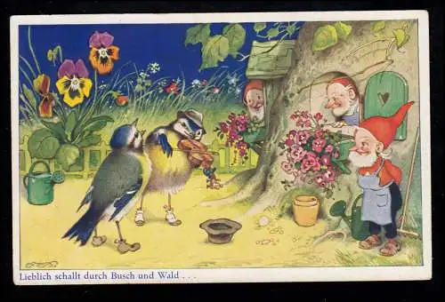 Caricature-AK Les oiseaux chantent et musicient devant la maison des nains DRESDEN-BLASEWITZ 1935