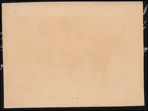 AK de texte pour enfants: Les enfants chantent des chansons de Noël devant l'entrée, inutilisé