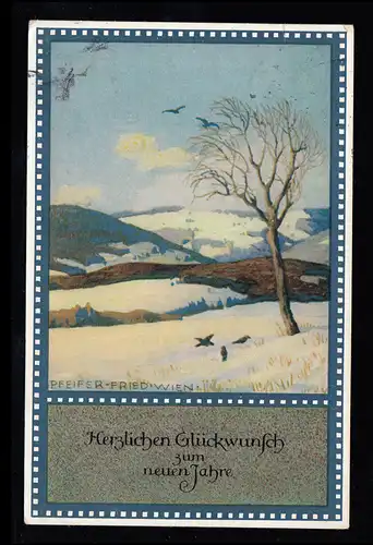 Künstler-AK Pfeifer-Fried, Wien: Wintersonne, BRAUNSCHWEIG 29.12.1915