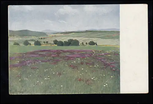 AK Artiste Szinyei-Merse: Champ en fleur, Art hongrois, inutilisé