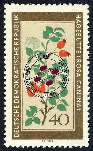 761 Heilpflanzen Heckenrose 40 Pf, gestempelt O