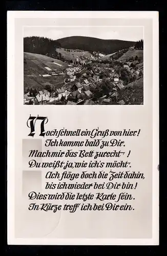 Wildemann / Oberharz: Panorama mit Gedicht: Noch schnell ein Gruß ... 30.3.1954