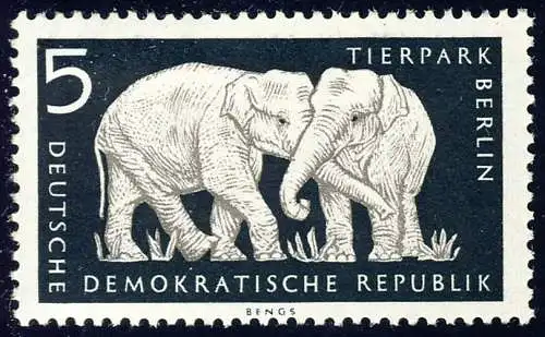 551 Animaux Parc 5 Pf Eléphants indiens **