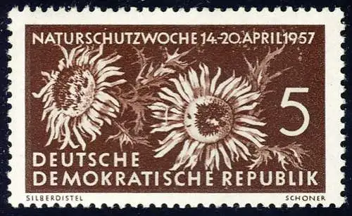 561 Naturschutzwoche 5 Pf Silberdistel **